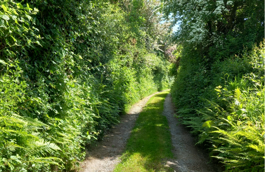 Guest Access 2-ireland