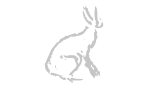 hare-grey-256